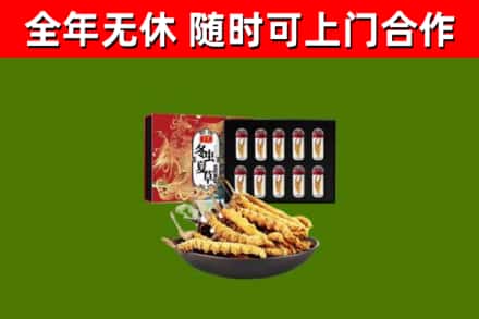 迪庆市回收冬虫夏草价格